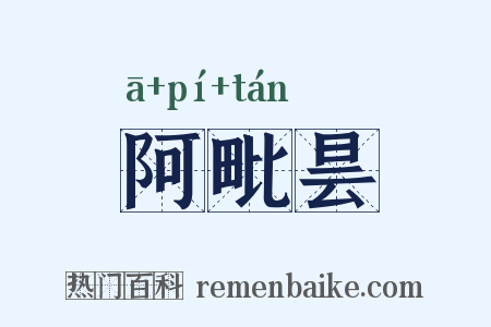 阿毗昙是什么意思的图片